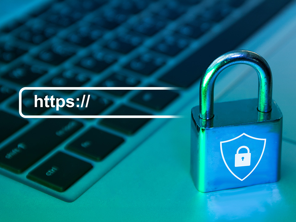 Катинар до адресна лента с HTTPS върху лаптоп, символизиращ защитена интернет връзка.